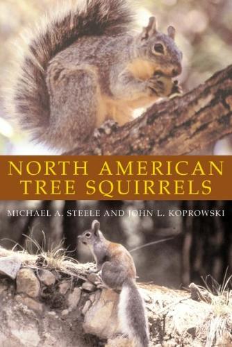North American Tree Squirrels (Paperback)