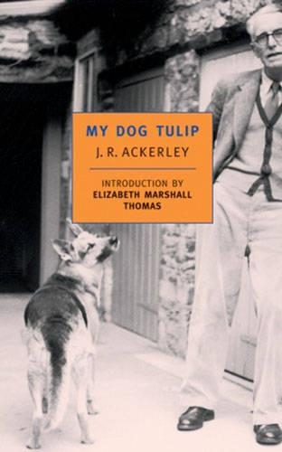 My Dog Tulip (Paperback)