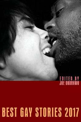 Best Gay Stories 2017 - Best Gay Stories 2017 (Paperback)