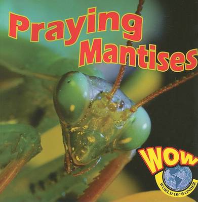 Praying Mantises - World of Wonder (Paperback)