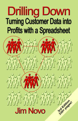 Drilling Down: Turning Customer Data into Profits with a Spreadsheet - Third Edition (Paperback)