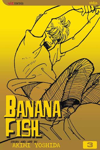 Banana Fish Manga Volume 4 (2nd Ed)