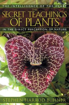 The Secret Teachings of Plants: The Intelligence of the Heart in Direct Perception to Nature (Paperback)
