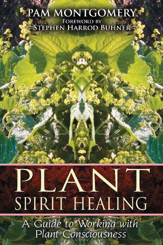 Plant Spirit Healing: A Guide to Working with Plant Consciousness (Paperback)