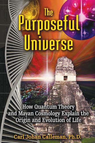 The Purposeful Universe: How Quantum Theory and Mayan Cosmology Explain the Origin and Evolution of Life (Paperback)