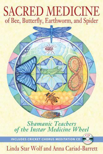 Sacred Medicine of Bee, Butterfly, Earthworm, and Spider: Shamanic Teachers of the Instar Medicine Wheel (Paperback)