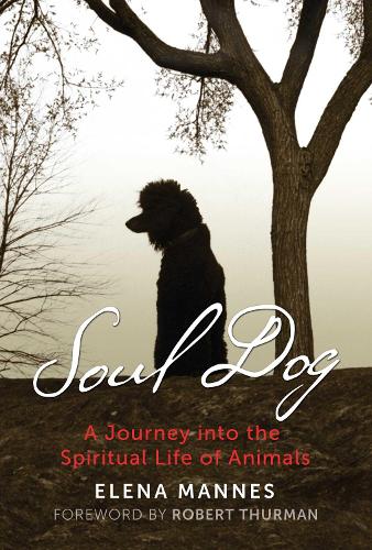 Soul Dog: A Journey into the Spiritual Life of Animals (Paperback)