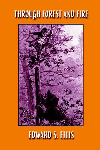 Through Forest and Fire (Paperback)