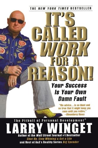 It's Called Work For A Reason!: Your Success is Your Own Damn Fault (Paperback)