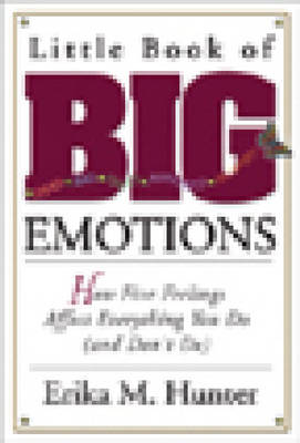 Little Book Of Big Emotions (Paperback)