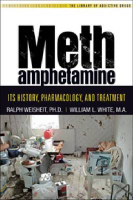Methamphetamine (Paperback)