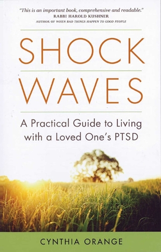 Shock Waves (Paperback)
