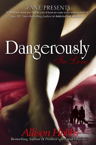 Dangerously In Love (Paperback)