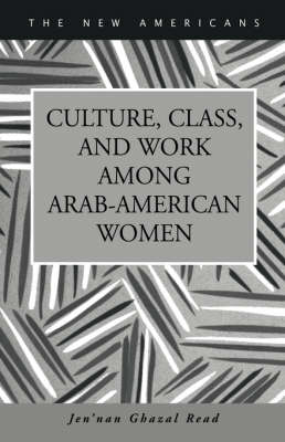 Culture, Class, and Work Among Arab-American Women (Hardback)