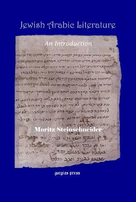 Jewish Arabic Literature: An Introduction (Hardback)