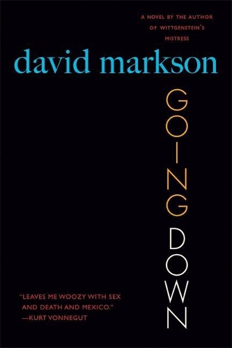 Going Down: A Novel (Paperback)