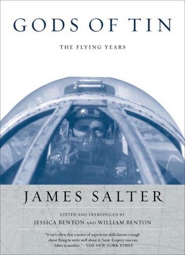 Gods Of Tin: The Flying Years (Paperback)