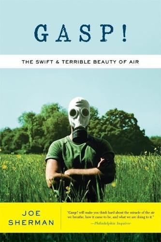Gasp!: The Swift and Terrible Beauty of Air (Paperback)