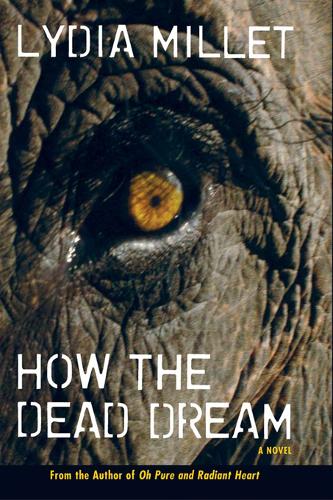 How the Dead Dream: A Novel (Hardback)