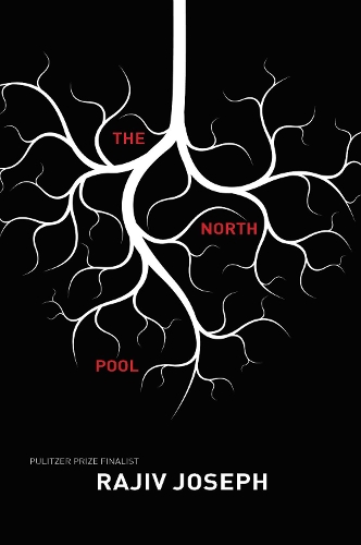 The North Pool (Paperback)