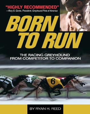 The Born to Run: Racing Greyhound, from Competitor to Companion (Paperback)