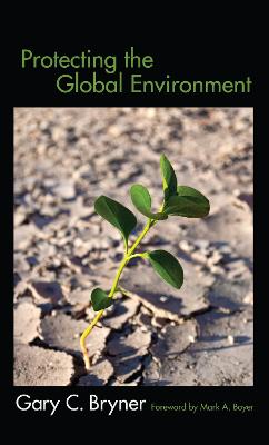 Protecting the Global Environment (Hardback)
