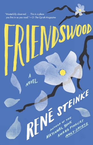 Friendswood: A Novel (Paperback)