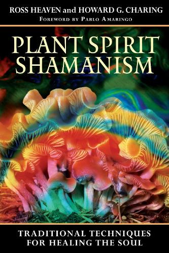 Plant Spirit Shamanism: Traditional Techniques for Healing the Soul (Paperback)