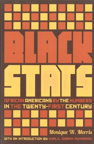 Black Stats: African Americans by the Numbers (Paperback)