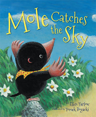 Mole Catches the Sky (Paperback)