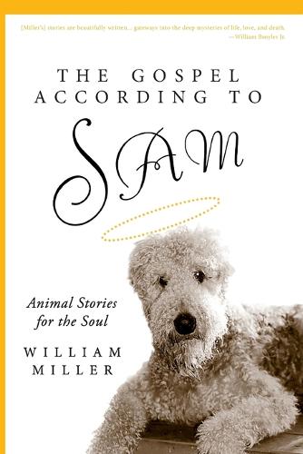 The Gospel According to Sam: Animal Stories for the Soul (Paperback)