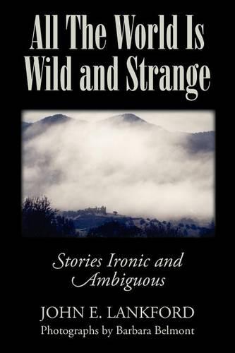 All the World Is Wild and Strange: Stories Ironic and Ambiguous (Paperback)