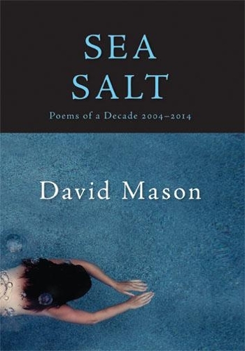 Sea Salt: Poems of a Decade, 2004-2014 (Paperback)