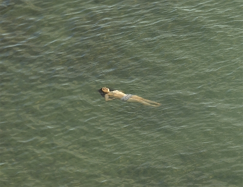Richard Misrach:The Mysterious Opacity of Other Beings (Hardback)