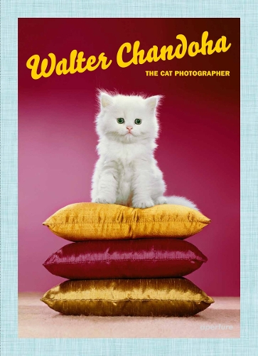 Walter Chandoha: The Cat Photographer (Hardback)