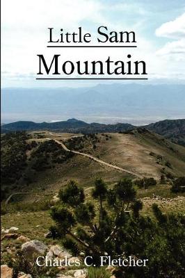 Little Sam Mountain (Paperback)