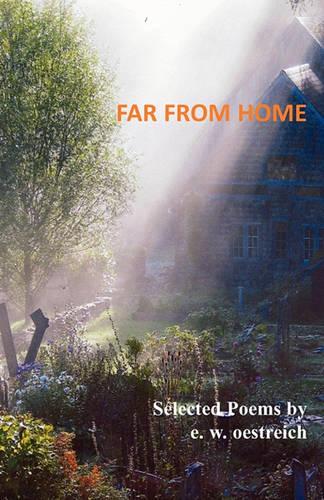 Far from Home (Paperback)