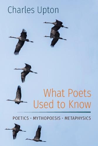 What Poets Used to Know: Poetics - Mythopoesis - Metaphysics (Paperback)