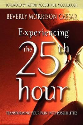 Experiencing The 25th Hour (Paperback)