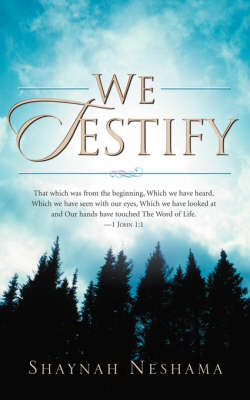We Testify (Paperback)