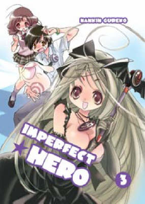 Imperfect Hero: v. 3 (Paperback)