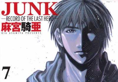 Junk: v. 7 (Paperback)