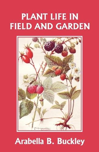 Plant Life in Field and Garden (Yesterday's Classics) (Paperback)