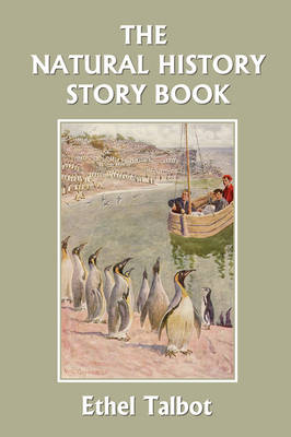 The Natural History Story Book (Yesterday's Classics) (Paperback)