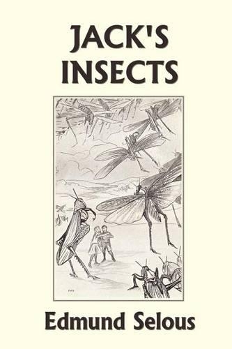 Jack's Insects (Yesterday's Classics) (Paperback)
