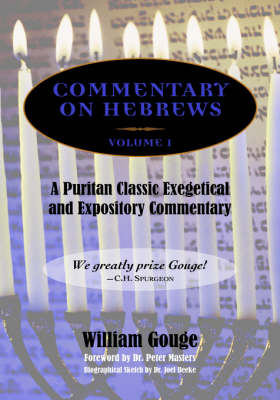 Commentary on Hebrews: Exegetical and Expository - Vol. 1 (Heb. 1-7) (Hardback)