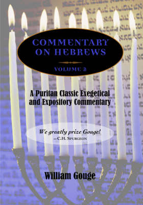 Commentary on Hebrews: Exegetical and Expository - Vol. 2 (PB) (Paperback)