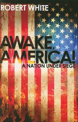 Awake, America! (Paperback)