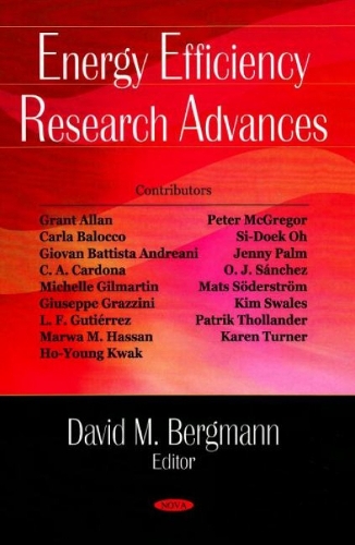 Energy Efficiency Research Advances (Hardback)