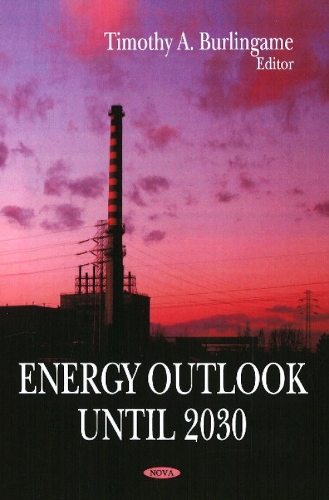Energy Outlook Until 2030 (Hardback)